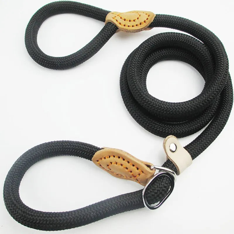 Stylish basic leash
