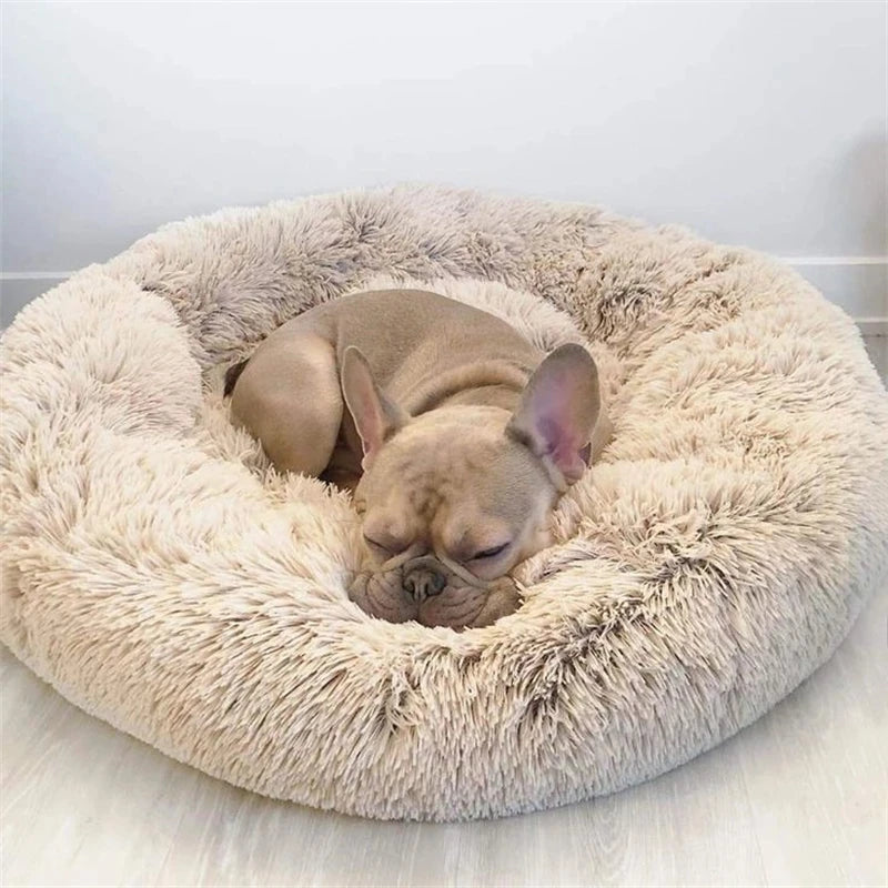 Large comfy dog/cat bed