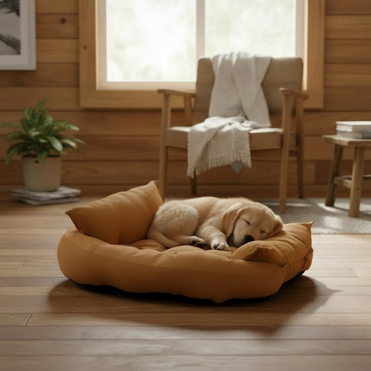 Brown pet bed on a white background