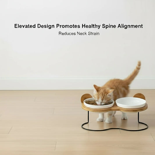 Cat food and water bowls with wooden stand on a white background