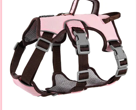 Professional dog harness