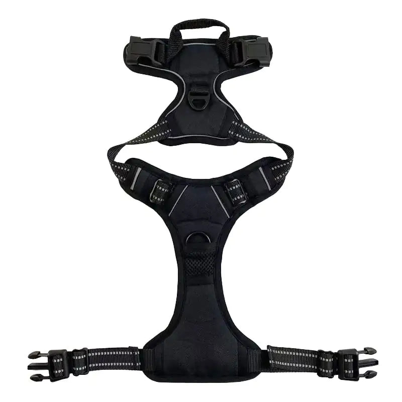 Black dog harness on a white background